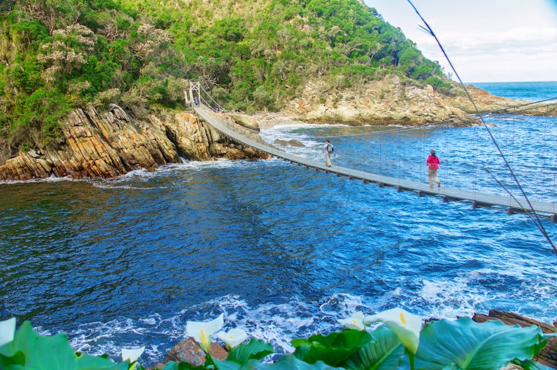 Hängebrücke im Tsitsikamma Nationalpark - ©Iuliia Sokolovska - stock.adobe.com