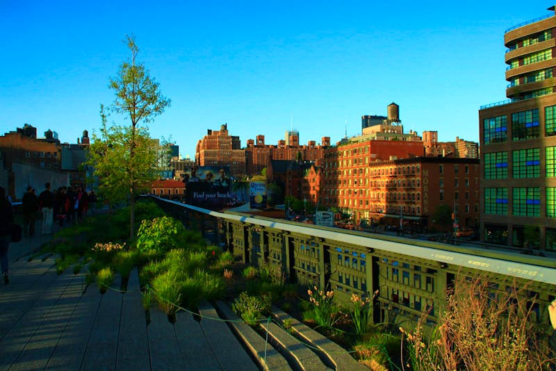 New York – Auf der High Line - ©Denise Hartmann