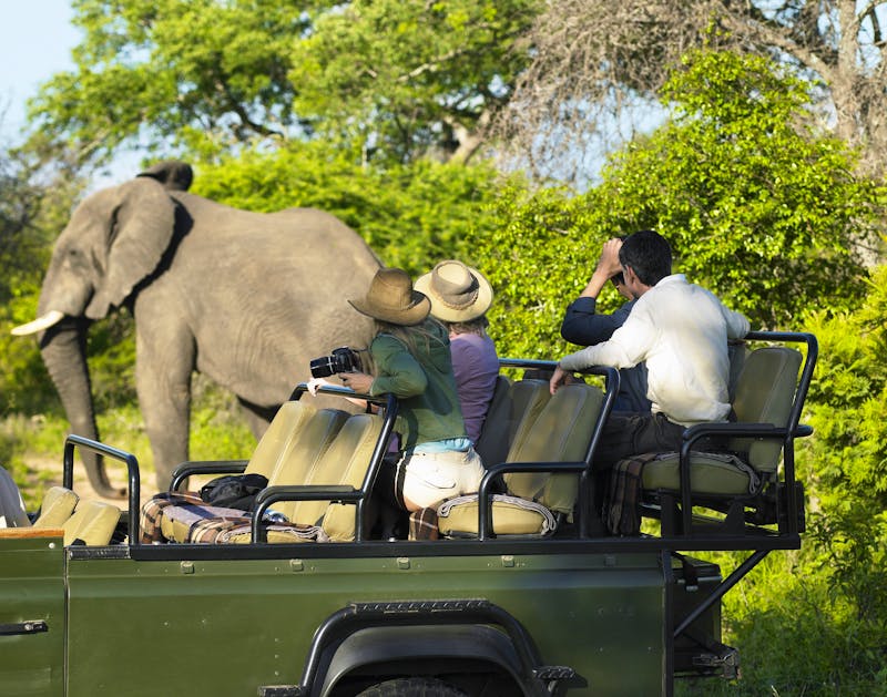 Safarifahrt - ©biker3 - stock.adobe.com