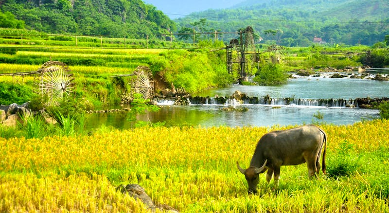 Pu Luong Retreat                                  - ©Pu Luong Retreat