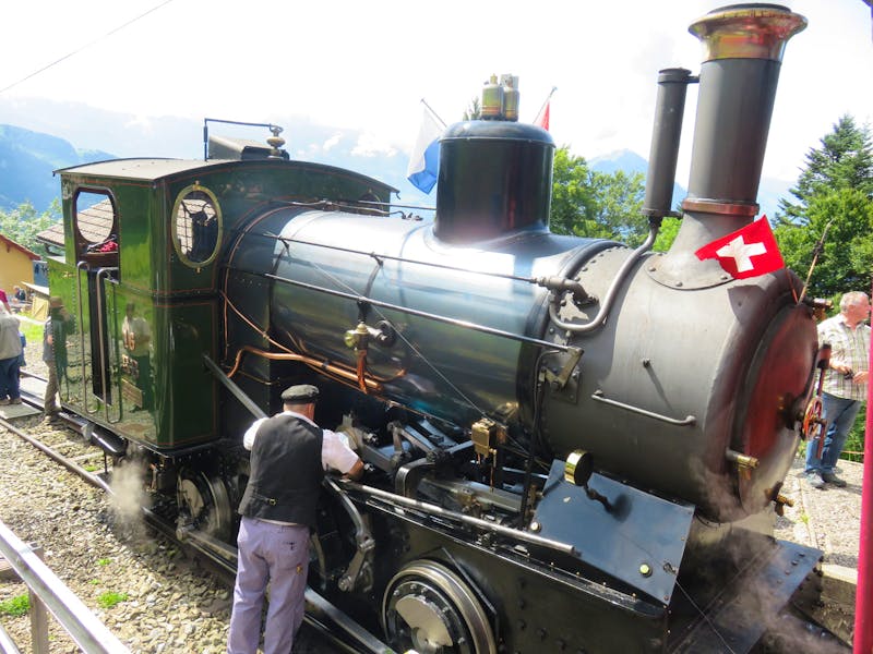 Fahrt mit der Dampfbahn auf die Rigi - ©Annette Weise