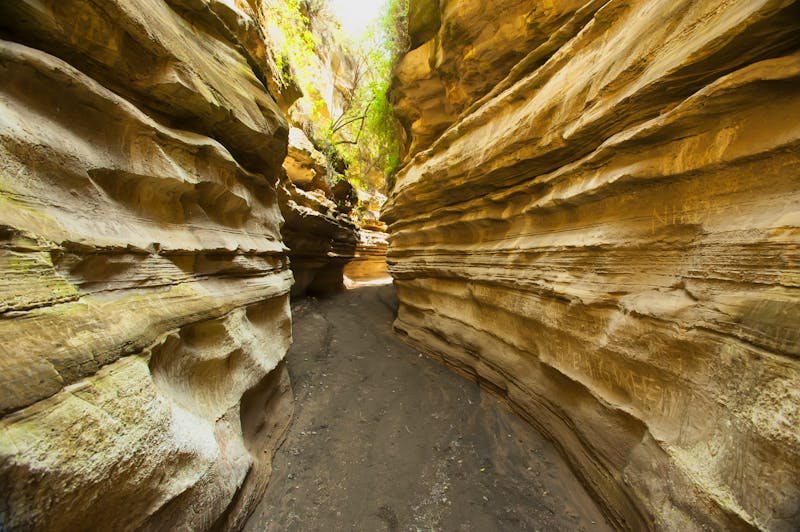 Schlucht im Hells-Gate-Nationalpark - ©???? ????????? - stock.adobe.com