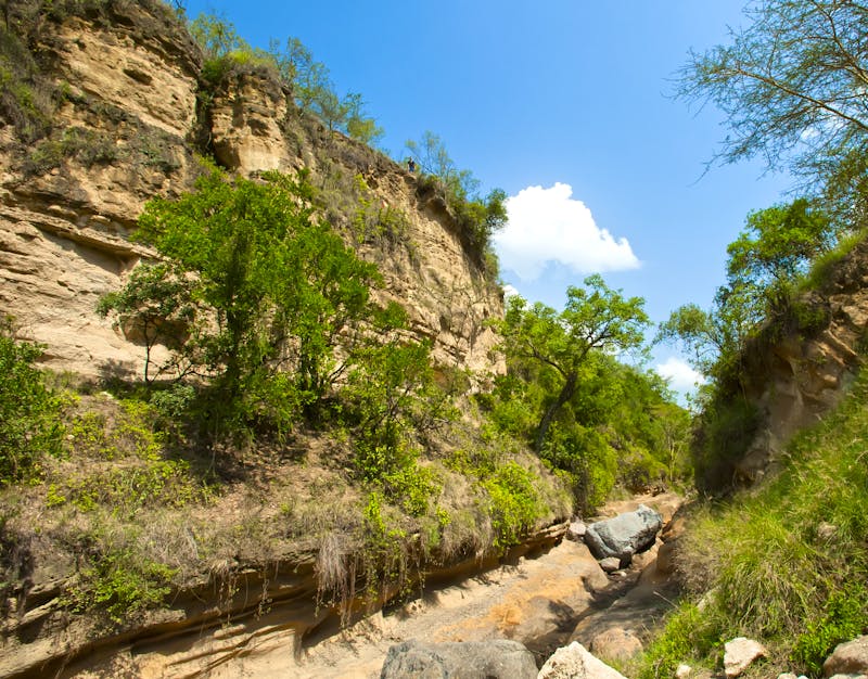 Schlucht im Hells-Gate-Nationalpark - ©???? ????????? - stock.adobe.com