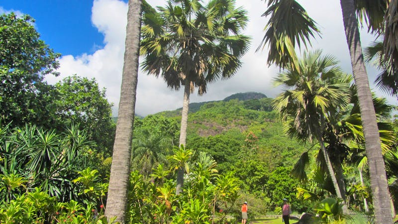 Botanischer Garten auf Mahé - ©Eberhardt TRAVEL