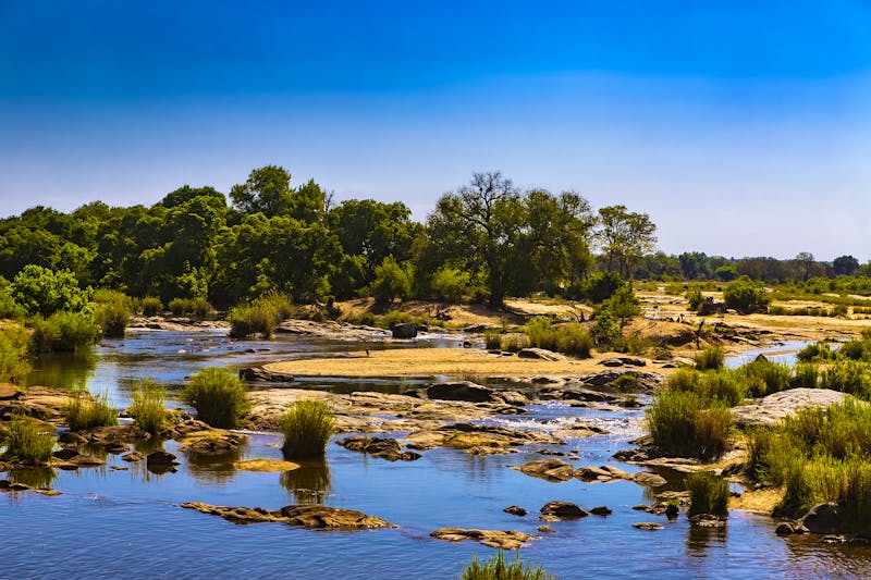  Der Sabie River in Mpumalanga - ©WitR - stock.adobe.com