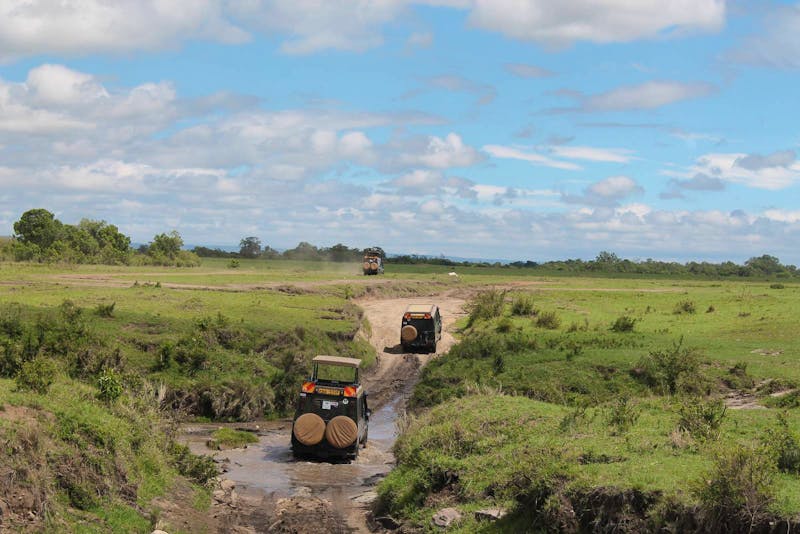 Fahrt durch die Masai Mara - ©Eberhardt TRAVEL