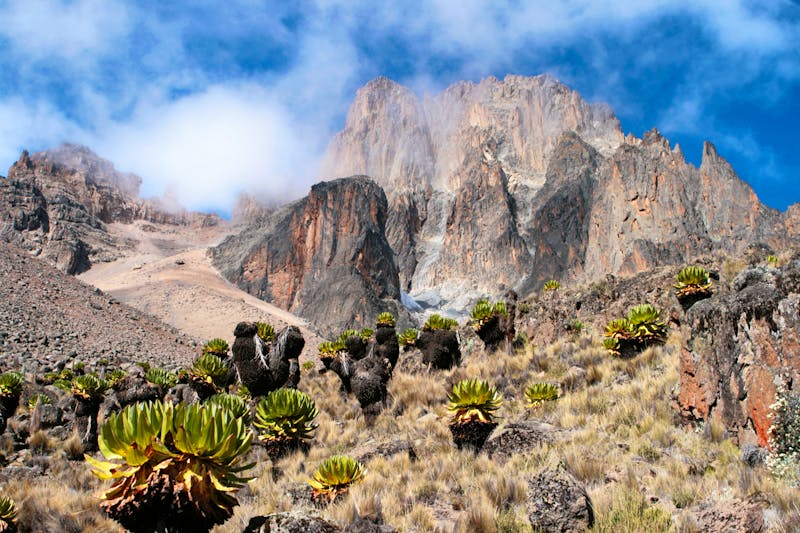 Mount Kenya - ©Jiri Kasal - stock.adobe.com