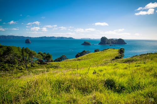Coromandel Halbinsel &ndash; &copy; Anna Stiebing