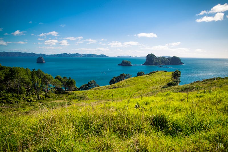 Coromandel Halbinsel - ©Anna Stiebing