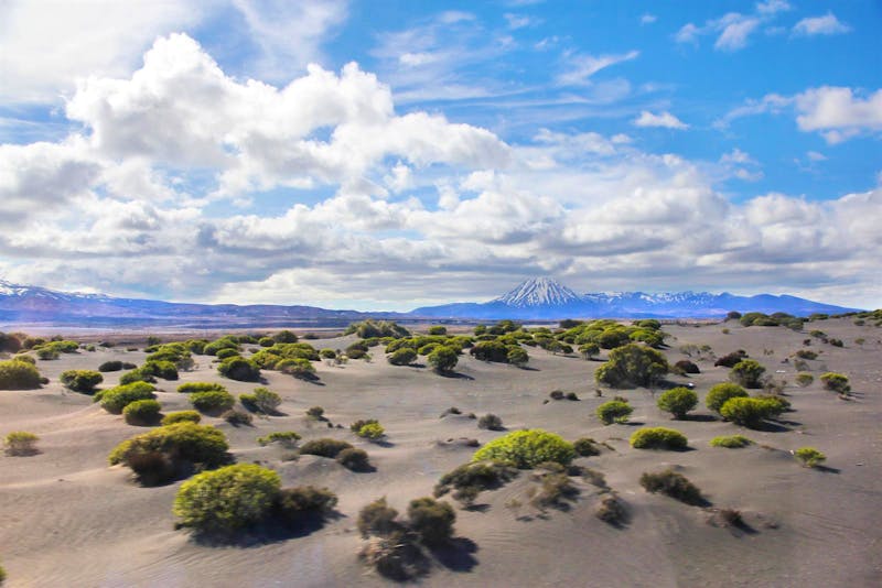 Vulkan Ruapehu im Tongariro-Nationalpark - ©Kristin Weigel