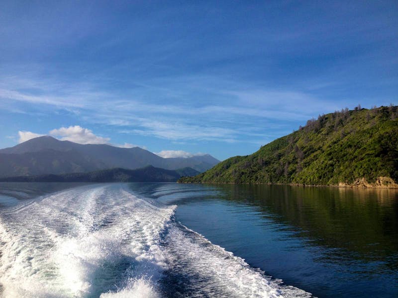 Marlborough Sounds - ©Anna Stiebing