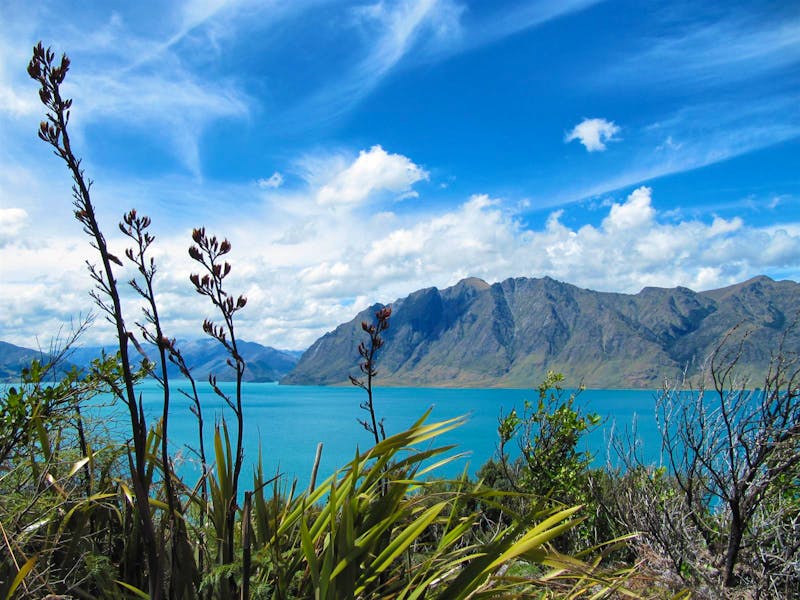 Lake Wanaka - ©Anna Stiebing