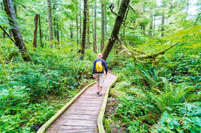 Im Pacific Rim Nationalpark - ©Galyna Andrushko - Adobe Stock