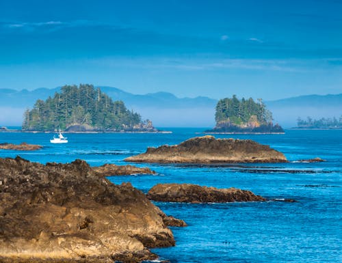 Pacific Rim Nationalpark - Vancouver Island – © ©Fokussiert - stock.adobe.com