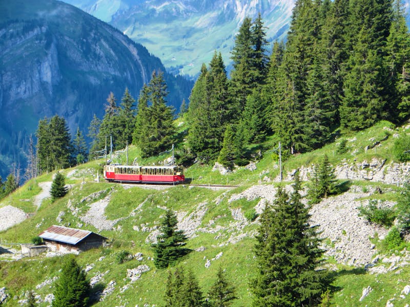 Schynige Platte - ©Gisela Gerlach