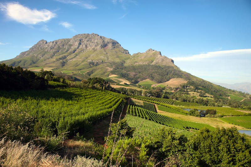 Stellenbosch - ©piccaya - stock.adobe.com