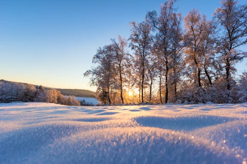 Winterlandschaft Schwarzwald &ndash; &copy; stefan257 – Adobe Stock