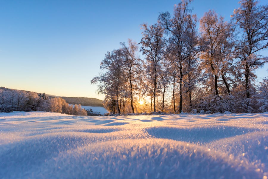 Winterlandschaft Schwarzwald – © stefan257 – Adobe Stock