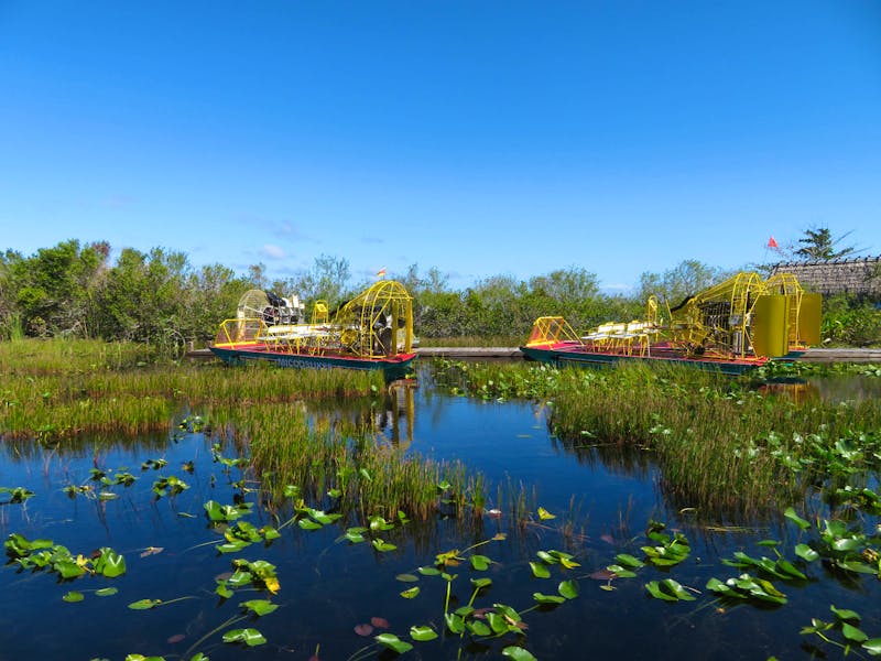 Everglades - ©Anna Stiebing