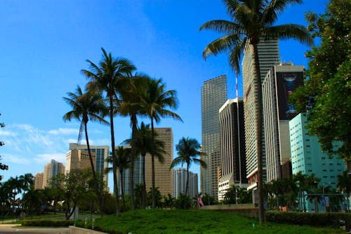 Downtown Miami &ndash; &copy; Denise Hartmann