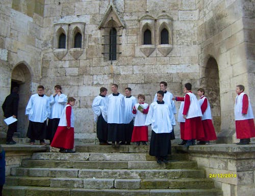 ... die Regensburger Domspatzen – © Elke Reuter