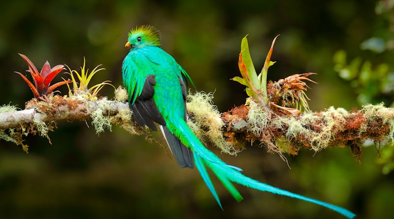 Zell am See - Patrick Fritzsche