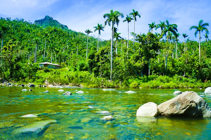 Regenwald bei Baracoa, Kuba - ©Jordan - Adobe Stock