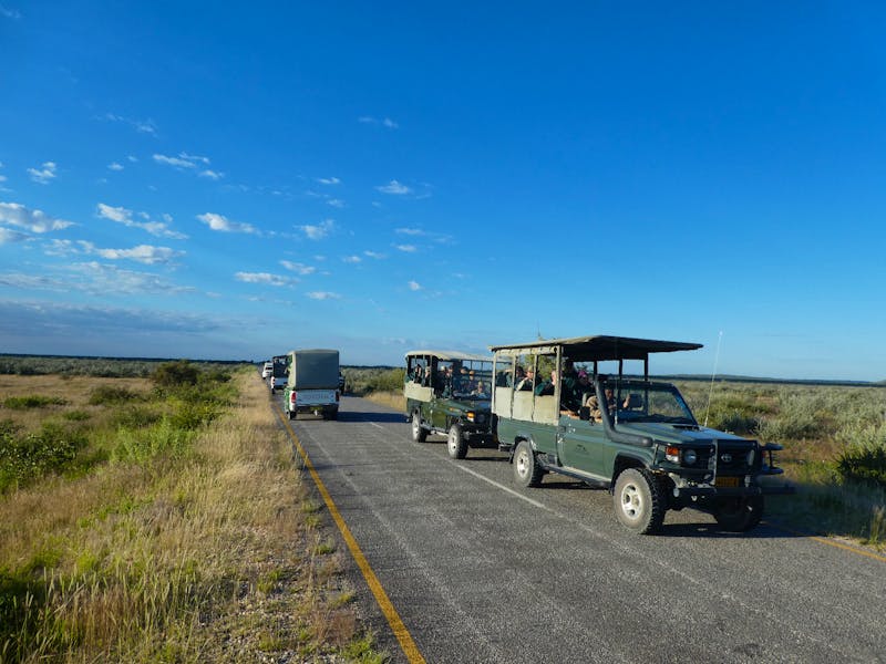 Safari im Etosha-Nationalpark - ©Ria Heilmann