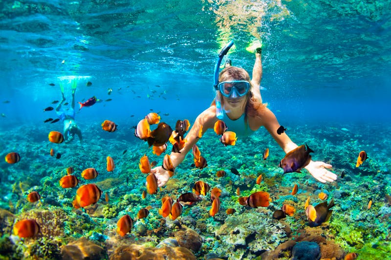 Tauchen und Schnorcheln vor Bali - ©Tropical studio - stock.adobe.com