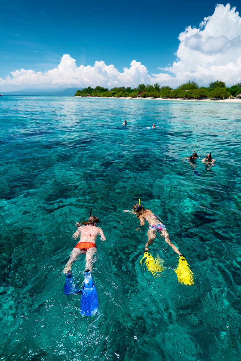 Tauchen und Schnorcheln in Indonesien - ©Dudarev Mikhail - stock.adobe.com