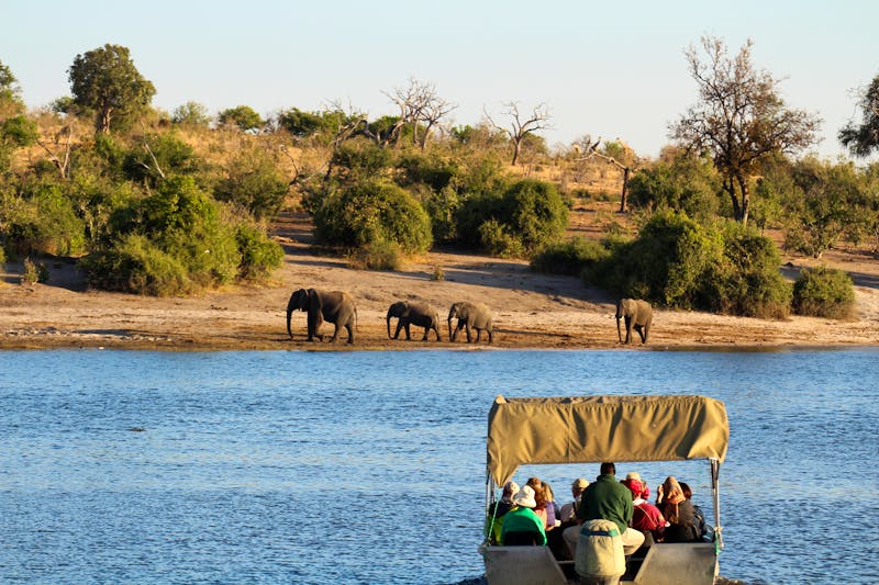 Bootsausflug am Chobe-Fluss - ©Tanja Wilbertz - stock.adobe.com