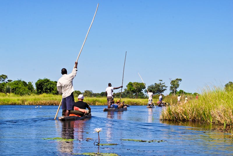 Kanufahrt auf dem Mokoro-Fluss im Okavangodelta - ©ah_fotobox - stock.adobe.com