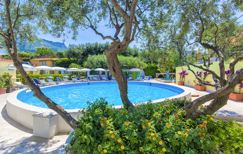 La Scogliera &ndash; &copy; Hotel La Scogliera