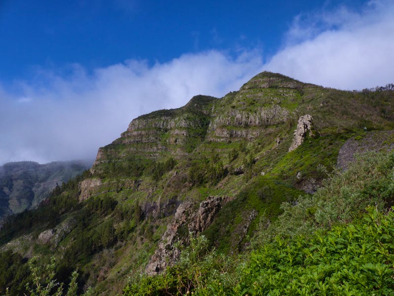 Garajonay Nationalpark 1 - ©Margret van Blokland