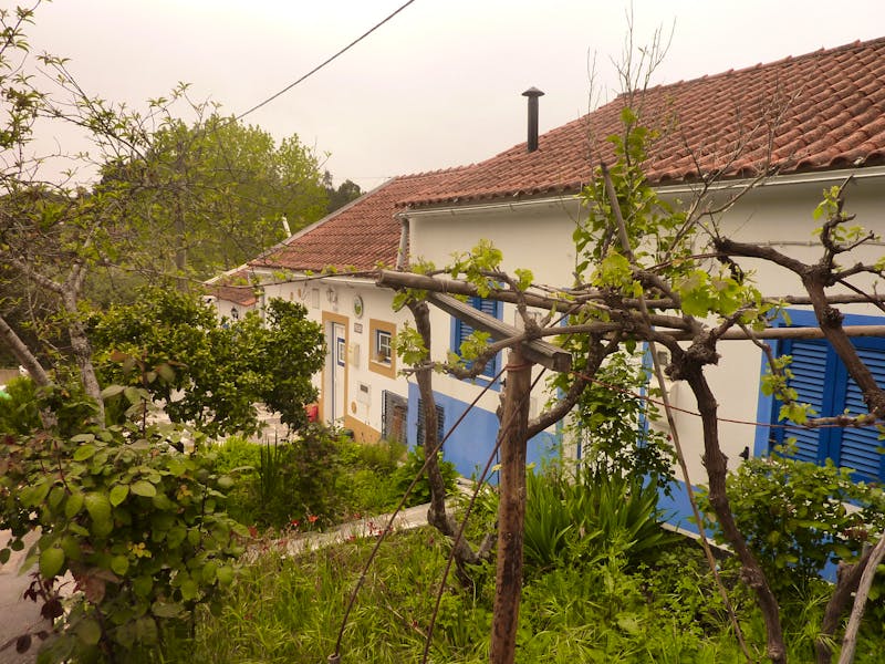 P1180215 - ©Cornelia Ritter