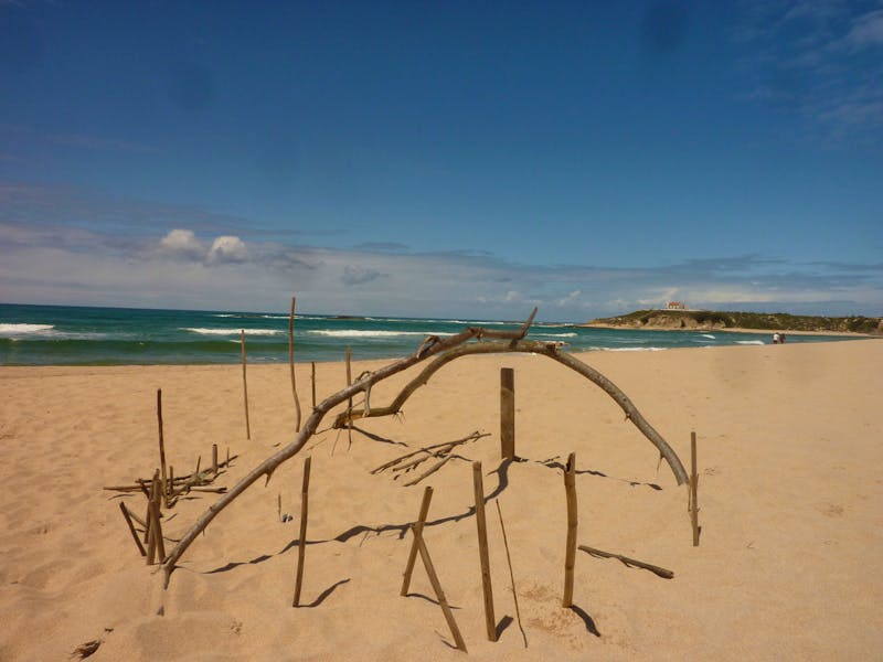 Strand bei Milfontes - ©Cornelia Ritter