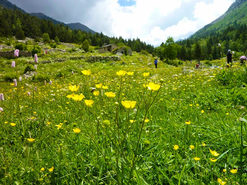 Rast im Madriu Tal  - ©Cornelia Ritter