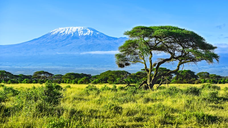 Blick auf den Kilimanjaro in Kenia - ©kyslynskyy - stock.adobe.com