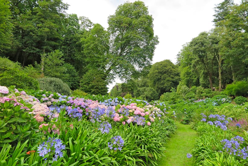 Trebah Garden in Cornwall - ©shorty25 - stock.adobe.com