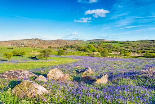 Dartmoor &ndash; &copy; Helen Hotson-stock.adobe.com