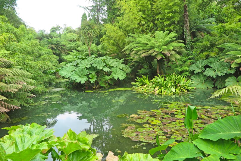Garden of Heligan - ©shorty25 - stock.adobe.com