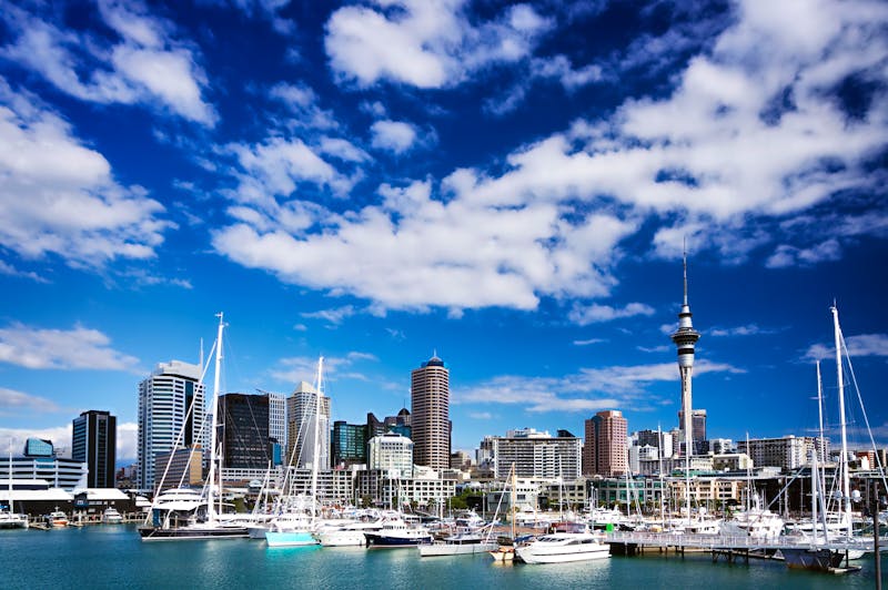 Auckland - ©trashthelens - Adobe Stock