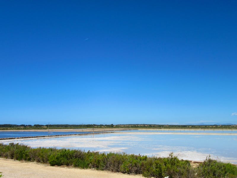 Salines d'Es Trenc (8) - ©Francisco Javier Burgos Gutierrez