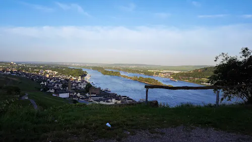 unterwegs durch die Weinberge in Rüdesheim &ndash; &copy; Steffi Zimmermann