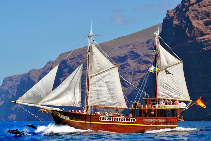 Segelbootstour vor der Küste von Los Gigantes - ©Flipper Uno