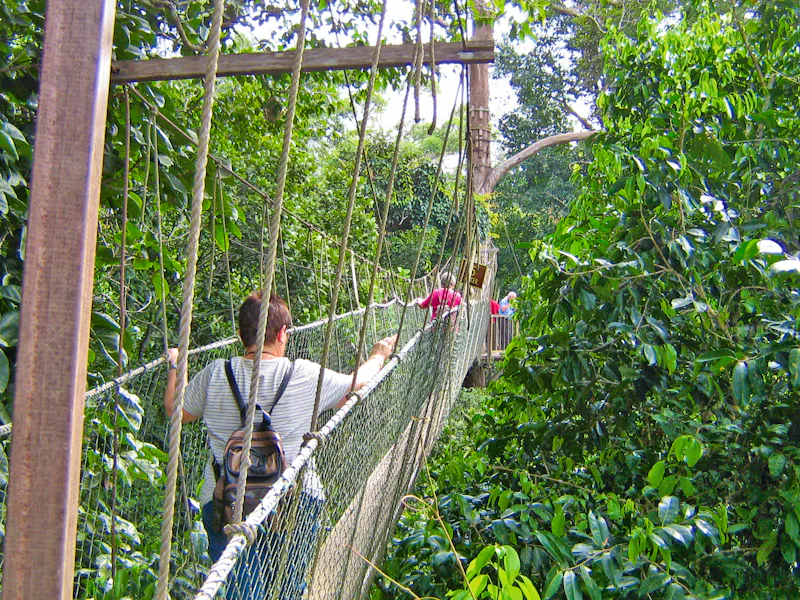 Hängebrücken-Wanderung im Taman Negara Nationalpark - &copy;Eberhardt TRAVEL