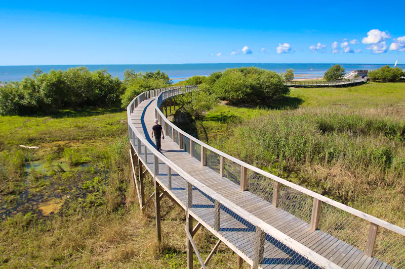 Wanderung an der Ostseeküste bei Pärnu - &copy;©Brad Pict - stock.adobe.com