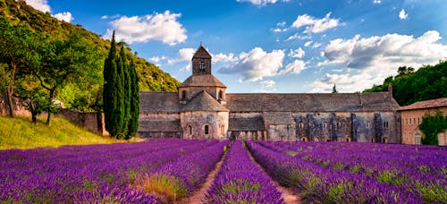 Abtei von Senanque in der Provence &ndash; &copy; Dar1930 - stock.adobe.com