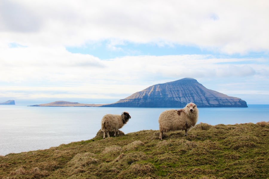 The nature of the Faroe Islands  – © polhansen - stock.adobe.com
