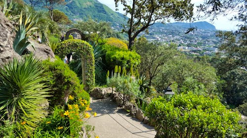 Botanischer Garten la Mortella &ndash; &copy; Eberhardt TRAVEL